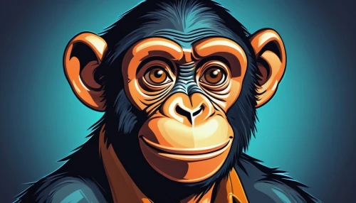 chimpanzee,chimp,common chimpanzee,primate,ape,monkey,the monkey,macaque,bonobo,vector illustration,primates,baboon,barbary monkey,monkeys band,monkey island,orangutan,great apes,gorilla,mandrill,gibbon 5