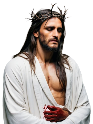 jesus figure,jesus christ and the cross,christian,son of god,png transparent,crown of thorns,jesus,flower crown of christ,christ star,holy week,jesus cross,jesus on the cross,christ feast,crown-of-thorns,christdorn,jesus child,merciful father,repent,good friday,benediction of god the father,Conceptual Art,Oil color,Oil Color 06