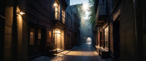 narrow street,alleyway,alley,old linden alley,the cobbled streets,blind alley,passage,alley cat,laneway,medieval street,cobblestones,getreidegasse,narrow,birch alley,cobblestone,florence,naples,evening atmosphere,the street,morning light