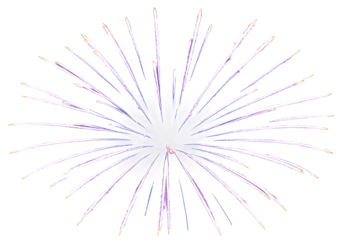 spirography,purple salsify,flowers png,purple pageantry winds,fireworks art,spectrum spirograph,fireworks background,the petals overlap,spirograph,crown chakra flower,firework,fireworks rockets,crown chakra,fireworks,missing particle,maypole,visualization,trajectory of the star,apophysis,spider network,Illustration,Retro,Retro 16