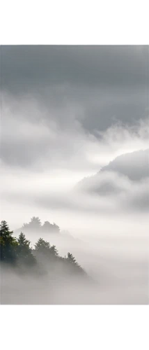 foggy landscape,wave of fog,fog banks,mist,mists over prismatic,dense fog,morning mist,japan landscape,ground fog,foggy mountain,emission fog,veil fog,sea of fog,fog,high fog,landscape photography,autumn fog,morning fog,early fog,yakushima,Illustration,Realistic Fantasy,Realistic Fantasy 05