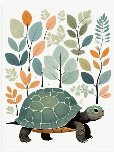 tortoise,turtle pattern,land turtle,turtle,galapagos tortoise,olive ridley sea turtle,tortoises,terrapin,galápagos tortoise,macrochelys,trachemys,painted turtle,giant tortoise,gopher tortoise,green turtle,desert tortoise,map turtle,loggerhead turtle,green sea turtle,sea turtle,Illustration,Vector,Vector 13