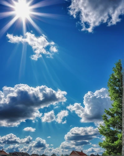 background view nature,blue sky and clouds,landscape background,blue sky clouds,blue sky and white clouds,bright sun,sun in the clouds,temperate coniferous forest,sunburst background,nature landscape,sun rays,evergreen trees,fair weather clouds,towering cumulus clouds observed,god rays,landscape nature,sun through the clouds,sun,spring sun,sunrays,Illustration,Black and White,Black and White 27