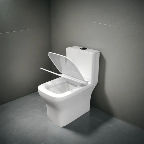 commode,urinal,toilet,toilet seat,bidet,toilet table,disabled toilet,toilet roll holder,bathroom accessory,wc,basin,industrial design,bathtub accessory,modern minimalist bathroom,washroom,washbasin,plumbing fixture,throne,toilets,the throne