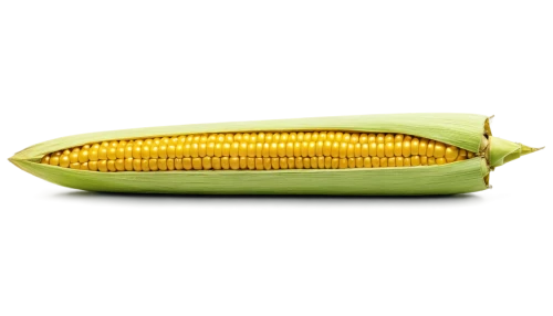 maize,corn,sweet corn,playcorn,corn on the cob,corn ordinary,sweetcorn,corn kernels,forage corn,ears of corn,winter corn,cob,corn salad,cornales,kernels,ornamental corn,creamed corn,grain ears,pea,poppy on the cob,Illustration,Vector,Vector 06