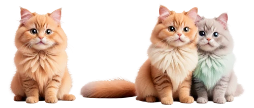 british longhair cat,two cats,ginger cat,cats angora,red tabby,cat vector,maincoon,kurilian bobtail,american bobtail,ginger family,british longhair,british semi-longhair,cat image,domestic long-haired cat,breed cat,pet vitamins & supplements,vintage cats,the cat and the,cartoon cat,turkish van,Illustration,Vector,Vector 11