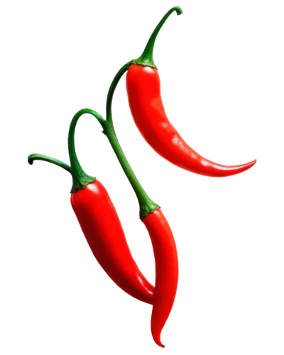 hot peppers,chillies,red chile,chilli pods,chile pepper,chilli pepper,cayenne pepper,chilli,red chili,chili pepper,cayenne peppers,serrano pepper,red chili pepper,chilies,anaheim peppers,cayenne,bell peppers and chili peppers,red pepper,red peppers,serrano peppers,Art,Artistic Painting,Artistic Painting 49
