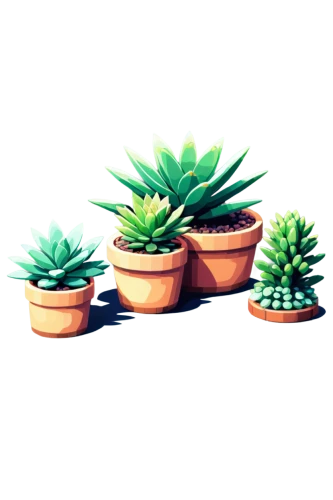 potted plants,desert plants,cactus digital background,small plants,succulent plant,little plants,cacti,plants in pots,desert plant,succulents,potted plant,plants,house plants,plant pots,tube plants,houseplant,potted palm,pot plant,outdoor plants,cactus,Unique,Pixel,Pixel 01