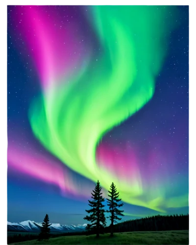 northen lights,norther lights,aurora borealis,auroras,nothern lights,northern lights,green aurora,northen light,the northern lights,northern light,aurora colors,aurora australis,aurora,northernlight,polar lights,large aurora butterfly,southern aurora,alaska,polar aurora,aaa,Photography,Fashion Photography,Fashion Photography 06