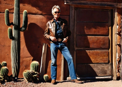 pioneertown,dutchman's-pipe cactus,grey fox,cacti,peniocereus,cactus,spike,kit fox,organ pipe cactus,david bowie,route66,route 66,silver fox,wild west,tucson,eurythmics,western pleasure,prickly pears,carpenter jeans,wild west hotel,Conceptual Art,Graffiti Art,Graffiti Art 03