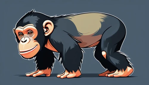 chimpanzee,common chimpanzee,ape,chimp,gorilla,baboon,bonobo,siamang,monkey,primate,orang utan,macaque,anthropomorphized animals,mandrill,monkey banana,orangutan,uakari,the monkey,vector illustration,kong