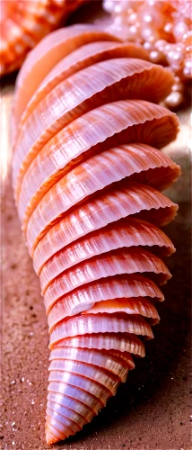 sashimi,anago,spiny sea shell,watercolor seashells,fish scales,salmon fillet,scallop,sea shell,seashell,salmon-like fish,seashells,pterois,shellfish,tataki,fruits of the sea,ray-finned fish,smoked salmon,surimi,blue sea shell pattern,nigiri,Conceptual Art,Fantasy,Fantasy 27