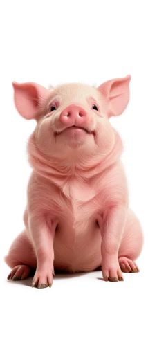 pig,porker,suckling pig,babi panggang,ham,kawaii pig,swine,hog,domestic pig,piggy,piglet,pork,mini pig,pot-bellied pig,fat,hog xiu,fatayer,lechon,piggybank,inner pig dog,Unique,Design,Blueprint