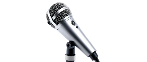 microphone,mic,condenser microphone,microphone stand,wireless microphone,handheld microphone,microphone wireless,usb microphone,free reed aerophone,student with mic,singer,backing vocalist,handheld electric megaphone,maglite,sound recorder,orator,recorder,vocal,speech icon,announcer,Photography,Fashion Photography,Fashion Photography 26