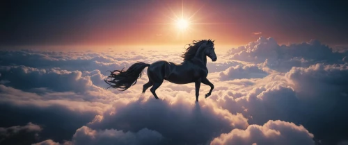 unicorn background,fantasy picture,dream horse,pegasus,beautiful horses,equine,arabian horse,white horses,a white horse,white horse,above the clouds,heavenly ladder,sunburst background,celestial phenomenon,unicorn art,horse free,heaven gate,majestic nature,unicorn,sunrise in the skies