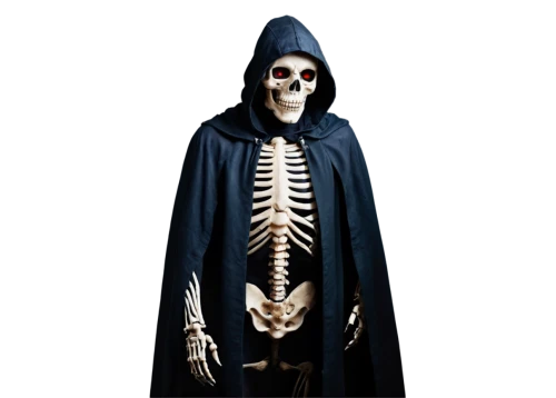 skeleltt,skeletal,human skeleton,skeleton,skeletal structure,grim reaper,halloween costume,vintage skeleton,skeletons,day of the dead skeleton,scull,png transparent,skull bones,png image,calcium,halloween vector character,a wax dummy,grimm reaper,bones,bone,Conceptual Art,Daily,Daily 05