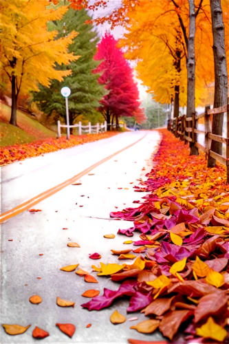 autumn background,autumn scenery,fall landscape,colors of autumn,fall foliage,autumn theme,colored leaves,autumn landscape,autumn leaves,autumn trees,autumn walk,just autumn,autumn colors,fallen leaves,autumn color,fall leaves,autumn season,fall,autumn day,colorful leaves,Illustration,Realistic Fantasy,Realistic Fantasy 38