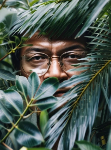 forest man,jungle,tree man,guru,camouflaged,farmer in the woods,lurking,lupe,nature and man,bushes,tree loc sesame,camouflage,hiding,hidden,people in nature,jungle leaf,leafed through,avatar,indonesian,vietnam,Photography,General,Realistic
