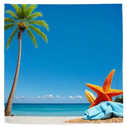 travel insurance,dream beach,cuba beach,coconut tree,caribbean beach,starfishes,tropical beach,praslin,antilles,coconut palm tree,beach background,blue hawaii,coconut trees,varadero,beach towel,sea star,seychelles,beach defence,punta-cana,ocean paradise,Illustration,Black and White,Black and White 28