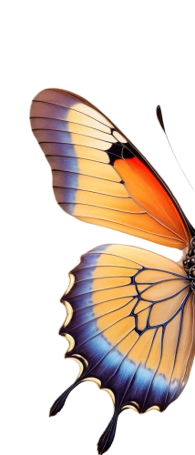 butterfly vector,butterfly clip art,viceroy (butterfly),hesperia (butterfly),glass wing butterfly,ulysses butterfly,butterfly background,cupido (butterfly),orange butterfly,vanessa (butterfly),gatekeeper (butterfly),flutter,butterfly isolated,french butterfly,isolated butterfly,butterfly,butterflay,janome butterfly,papillon,euphydryas,Illustration,Retro,Retro 01