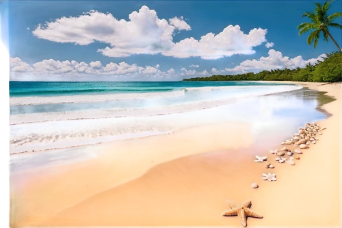 dream beach,beach landscape,beautiful beaches,caribbean beach,brazilian beach,beautiful beach,white sandy beach,paradise beach,cuba beach,tropical beach,beach scenery,white sand beach,barbados,dominican republic,castaway beach,sandy beach,travel insurance,sunrise beach,caribbean sea,martinique,Illustration,Japanese style,Japanese Style 15