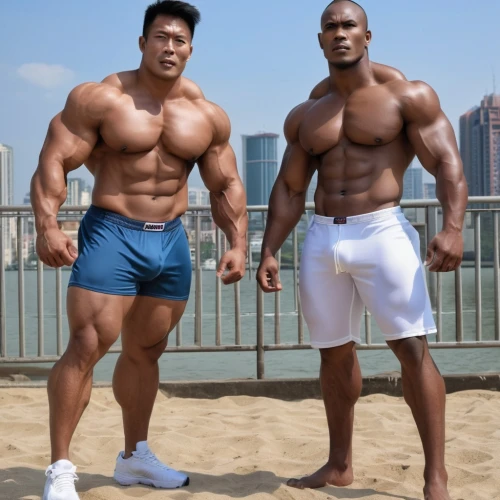 bodybuilding,kai yang,body building,body-building,pair of dumbbells,bodybuilding supplement,korean,bodybuilder,fitness and figure competition,crazy bulk,muscular,bulky,muscular build,su yan,dai pai dong,janome chow,muscle angle,kai bei,muscle,huge,Photography,General,Realistic