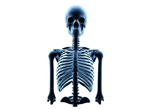 skeleton,skeletal,human skeleton,skeletal structure,vintage skeleton,x-ray,medical radiography,skeleltt,endoskeleton,xray,calcium,radiography,skeletons,scull,the human body,bones,skeleton sections,bone,anatomical,human body,Conceptual Art,Fantasy,Fantasy 30