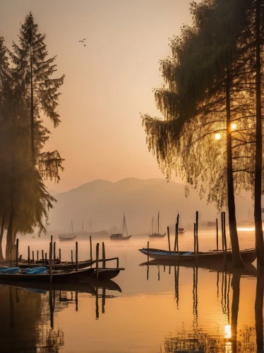 old wooden boat at sunrise,lake bled,bled,lake como,lake maggiore,evening lake,vancouver island,lake annecy,thun lake,antorno lake,british columbia,beautiful lake,boat landscape,lake garda,backwaters,calm waters,tranquility,lago di lugano,lake lucerne,lakeside,Illustration,Vector,Vector 04