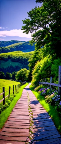 pathway,wooden path,landscape background,aaa,tree lined path,hiking path,wooden bridge,country road,the mystical path,walkway,the path,beautiful landscape,path,nature landscape,green landscape,background view nature,forest path,landscape nature,the road to the sea,the way,Illustration,Paper based,Paper Based 27