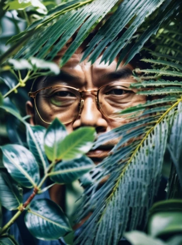 forest man,turtle ship,jungle,leafy,han bok,guk,choi kwang-do,kai bei,lurking,bushes,hidden,asian vision,jin deui,kojima,han thom,tree man,kai yang,vietnam,bamboo,dai pai dong,Photography,General,Natural