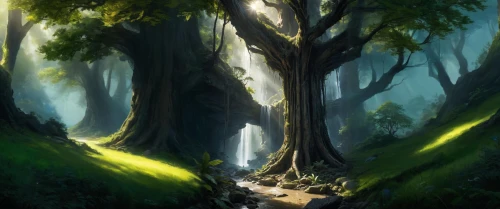 elven forest,forest landscape,forest glade,forest tree,druid grove,forest background,forest path,old-growth forest,fairy forest,the forest,forest,forests,holy forest,green forest,enchanted forest,tree grove,the forests,tree canopy,forest road,devilwood