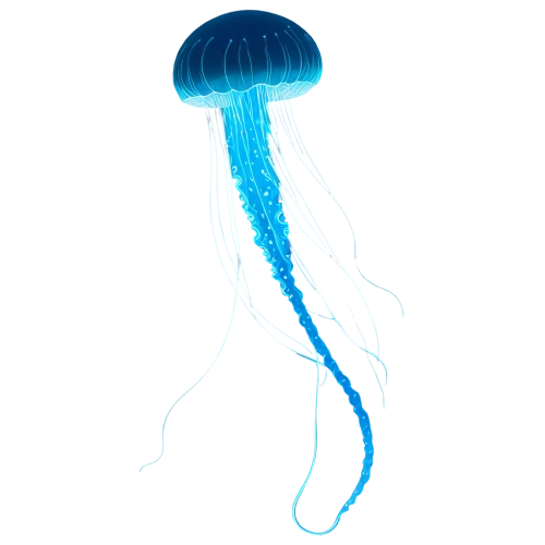 box jellyfish,jellyfish,portuguese man o' war,cnidaria,sea jellies,jellies,lion's mane jellyfish,jellyfishes,cnidarian,jellyfish collage,blue anemone,flaccid anemone,sea anemone,bioluminescence,jelly,blue mushroom,bluebottle,mushroom coral,cleanup,three-lobed slime,Illustration,Japanese style,Japanese Style 15