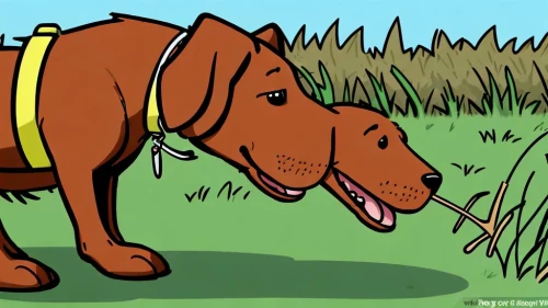 dog cartoon,dog illustration,chesapeake bay retriever,wirehaired vizsla,hunting dog,dog line art,rhodesian ridgeback,scent hound,dog drawing,redbone coonhound,running dog,plott hound,dog hiking,irish terrier,dog walking,hunting dogs,podenco canario,vizla,vizsla,two running dogs