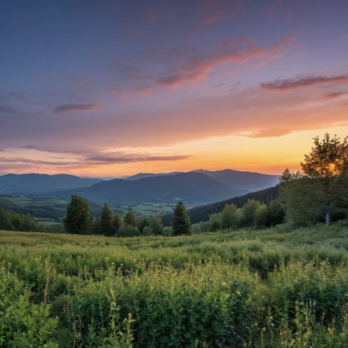 vermont,blue ridge mountains,shenandoah valley,great smoky mountains,carpathians,bieszczady,meadow landscape,mountain meadow hay,appalachian trail,beech mountains,mountain meadow,the russian border mountains,salt meadow landscape,tennessee,white mountains,ore mountains,west virginia,slowinski national park,landscape photography,vosges-rose,Photography,General,Realistic