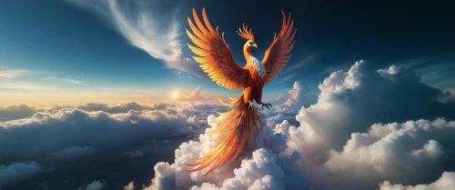 firebird,angel wing,fire angel,angel wings,phoenix,firebirds,pillar of fire,heaven and hell,angelology,flame spirit,pentecost,holy spirit,flame of fire,bird of paradise,the archangel,pegasus,heavenly ladder,fantasy picture,fire birds,dragon fire
