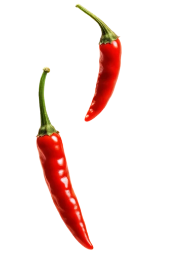 chile pepper,hot peppers,chillies,chilli pepper,chilli pods,serrano pepper,chili pepper,anaheim peppers,red chili,cayenne pepper,red chile,chilli,red chili pepper,chilies,red pepper,chile de árbol,cayenne,tabasco pepper,red peppers,serrano peppers,Illustration,American Style,American Style 05