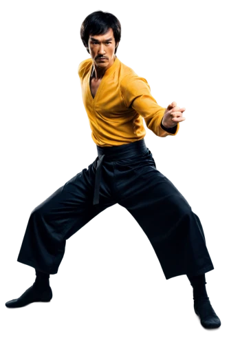 bruce lee,kung fu,jeet kune do,shaolin kung fu,jackie chan,kungfu,wing chun,baguazhang,taijiquan,karate,wushu,qi gong,lando,karate kid,martial arts,martial arts uniform,pencak silat,kung,shorinji kempo,savate,Illustration,Paper based,Paper Based 20