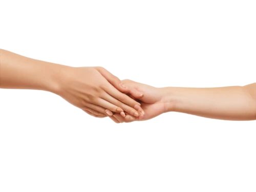 handshaking,shake hand,shake hands,shaking hands,handshake,handshake icon,hand shake,hands holding plate,fist bump,helping hands,hand to hand,hands holding,hold hands,the hands embrace,hand disinfection,folded hands,hand massage,hand prosthesis,holding hands,female hand,Illustration,Retro,Retro 17