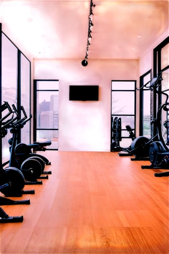 fitness room,fitness center,exercise equipment,workout equipment,gym,indoor cycling,gymnastics room,leisure facility,indoor rower,recreation room,workout items,circuit training,wood flooring,physical fitness,fitness coach,gymnasium,bodypump,rental studio,hardwood floors,home workout,Conceptual Art,Daily,Daily 12