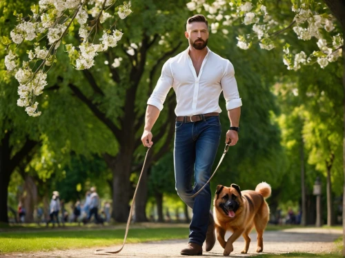 dog walking,walking dogs,dog walker,walk in a park,male model,st bernard outdoor,outdoor dog,gardener,dog leash,walking man,pet vitamins & supplements,go for a walk,boy and dog,walking,walk,nature and man,aa,giant dog breed,dog training,bosnian coarse-haired hound,Art,Artistic Painting,Artistic Painting 37