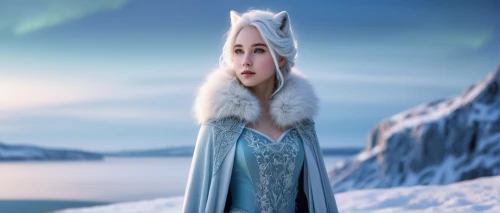 the snow queen,suit of the snow maiden,elsa,white rose snow queen,ice princess,frozen,ice queen,father frost,winterblueher,eternal snow,west siberian laika,polar aurora,swath,elf,siberian,aurora,fur,fur clothing,snowball,olaf,Photography,Black and white photography,Black and White Photography 04