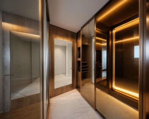 luxury bathroom,room divider,capsule hotel,hallway space,walk-in closet,metallic door,shower bar,gold wall,shower door,sliding door,gold lacquer,gold stucco frame,under-cabinet lighting,luxury hotel,modern minimalist bathroom,washroom,hallway,interior modern design,hinged doors,bathroom cabinet