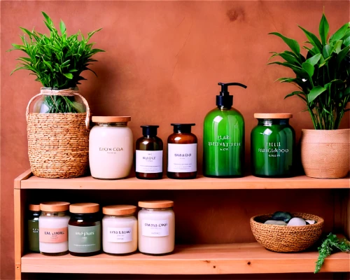 apothecary,naturopathy,lavander products,natural cosmetics,bottles of essential oils,product display,soap shop,wooden shelf,health products,mason jars,ayurveda,spa items,glass containers,body care,toiletries,jars,plant pots,amazonian oils,house plants,natural product,Illustration,Retro,Retro 06