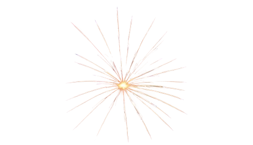 spirography,firework,fireworks art,sunburst background,missing particle,fireworks rockets,fireworks background,fireworks,shower of sparks,pyrotechnic,last particle,gold spangle,dandelion flying,spark of shower,firecracker flower,sparkler,sparks,sunstar,hawkbit,turn of the year sparkler,Conceptual Art,Daily,Daily 05