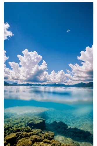 great barrier reef,halmahera islands,lake taupo,lake baikal,wakatobi,underwater landscape,heron island,calm water,mono lake,natuna indonesia,baikal lake,fiji,cook islands,widi islands,andaman sea,philippine sea,halmahera,moorea,raja ampat,lake mcdonald,Photography,Artistic Photography,Artistic Photography 01