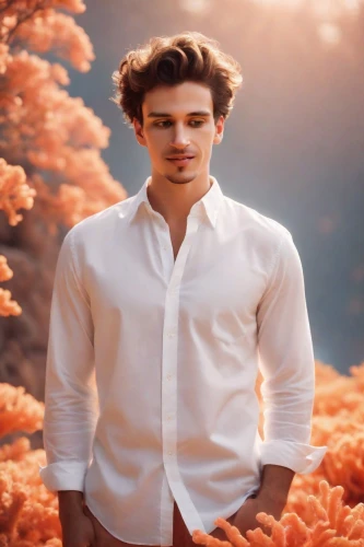 beatenberg,nature and man,flowers png,flower background,ryan navion,social,austin stirling,jack rose,floral background,charles leclerc,field of poppies,tommie crocus,marigolds,the garden marigold,rose png,persian poet,lucus burns,photo manipulation,danila bagrov,photomanipulation,Photography,Cinematic