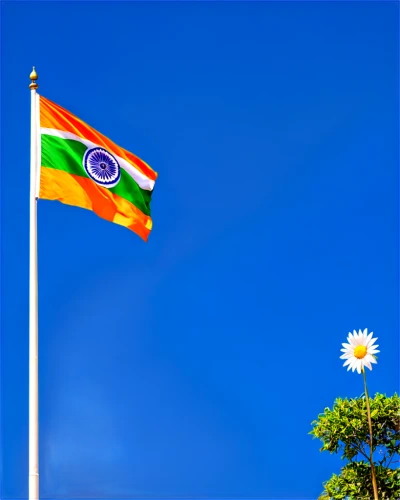 india flag,indian flag,national flag,karnataka,kerala,ashoka chakra,india,hindu,hd flag,lindia,carnation of india,tamilnadu,bangladeshi taka,diwali banner,country flag,paradi,rajastan,indian,sari,hyderabad,Art,Classical Oil Painting,Classical Oil Painting 02