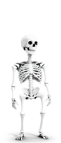 skeletal,human skeleton,skeleton,calcium,skeleltt,vintage skeleton,skeletal structure,chair png,endoskeleton,skeletons,bone,day of the dead skeleton,bowl bones,bones,scull,3d figure,skull bones,skull allover,pile of bones,png image,Conceptual Art,Sci-Fi,Sci-Fi 10