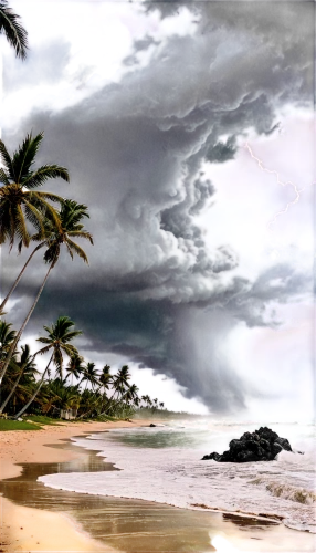 tropical cyclone,beach landscape,kerala,srilanka,monsoon,south pacific,coconut trees,coconut palms,storm clouds,tropical beach,tropical sea,stormy clouds,brazilian beach,umbrella beach,coastal landscape,veligandu island,samoa,kerala porotta,tropical cyclone catarina,puerto rico,Conceptual Art,Fantasy,Fantasy 22