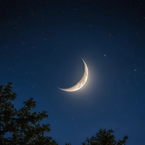 crescent moon,moon and star background,moon and star,stars and moon,crescent,hanging moon,moon at night,the moon and the stars,moonlit night,moon photography,moon night,ramadan background,jupiter moon,clear night,night image,lunar,moonlit,astrophotography,night photograph,moon,Photography,General,Realistic